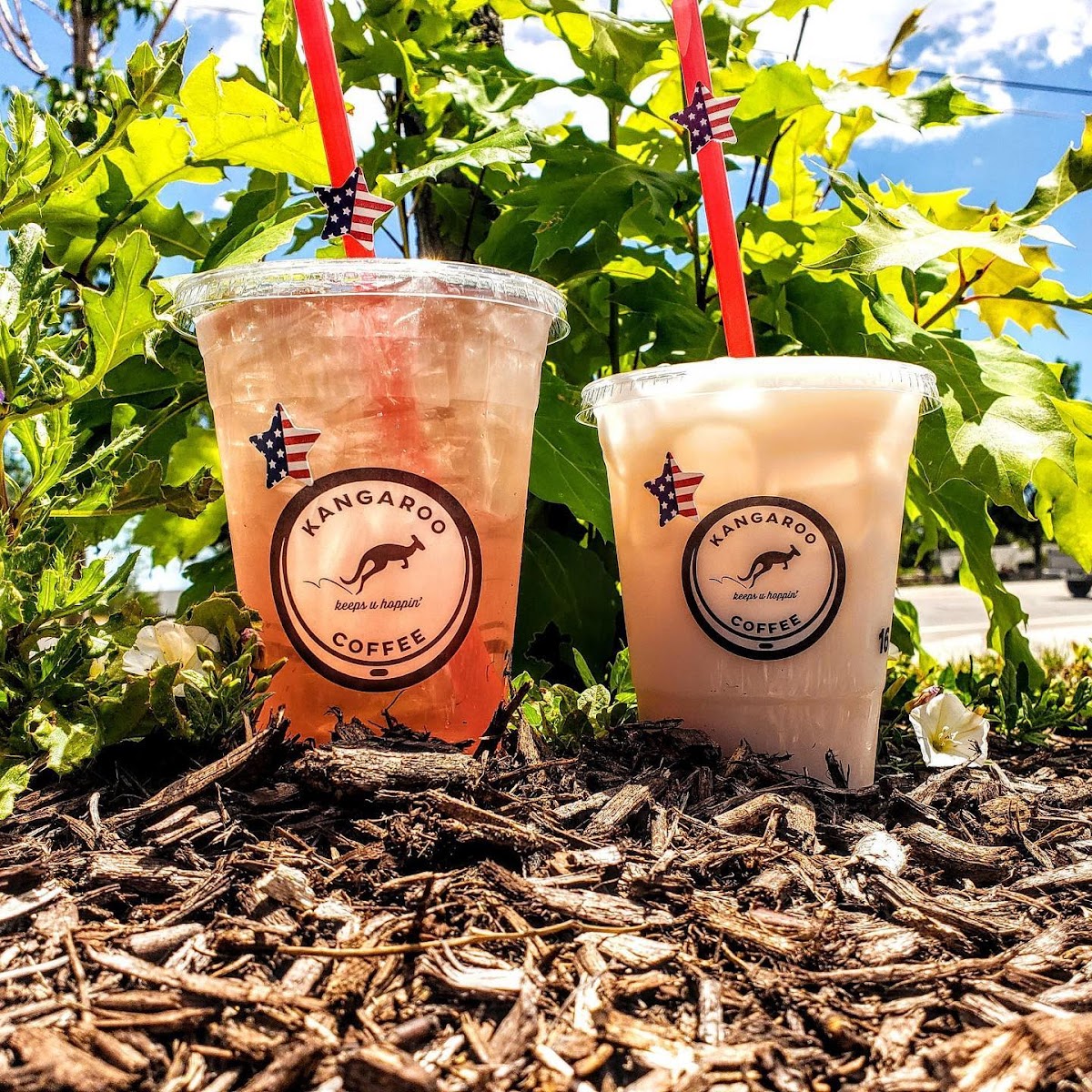 Photo of Kangaroo Coffee