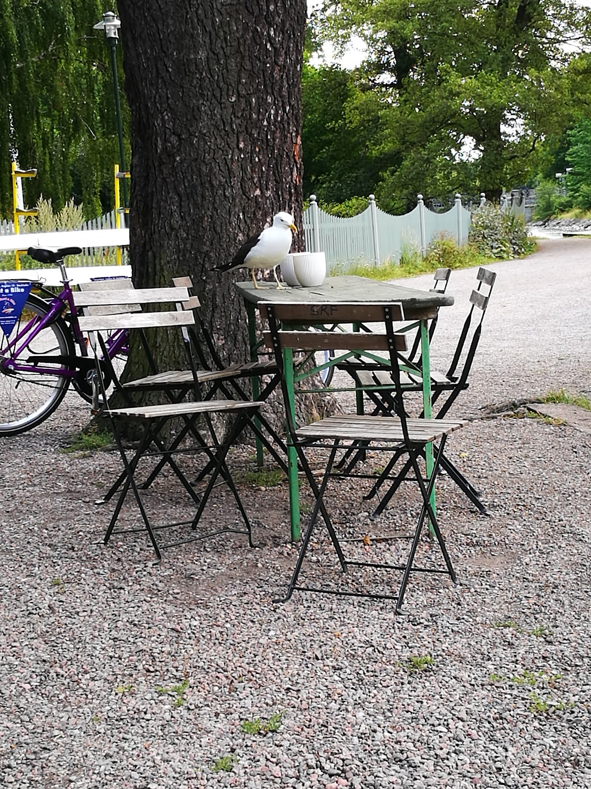 Roddföreningens Kaffeservering interior