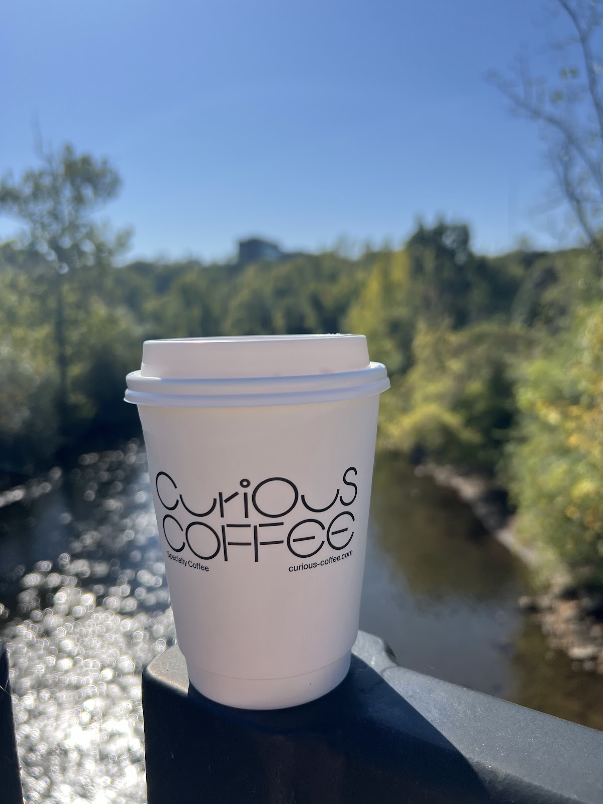 Photo of Curious Coffee