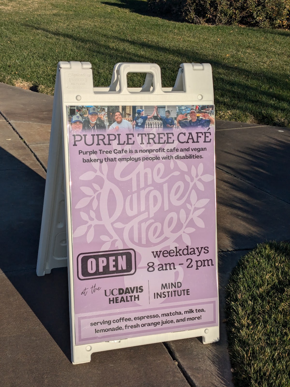 Photo of Purple Tree Cafe