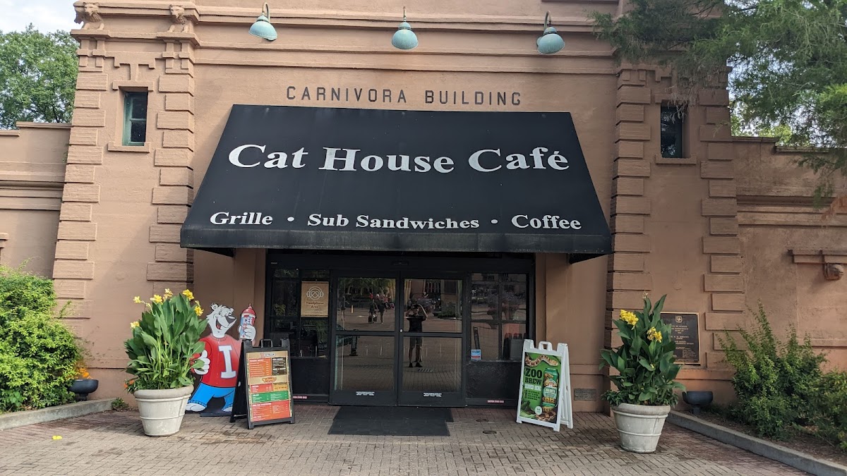 Cat House Café interior
