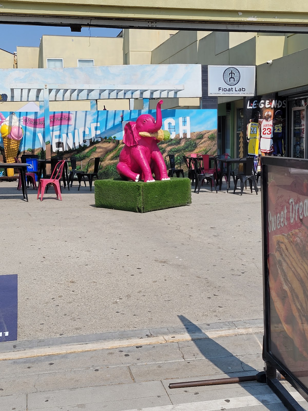 Pink Elephant Espresso Bar interior