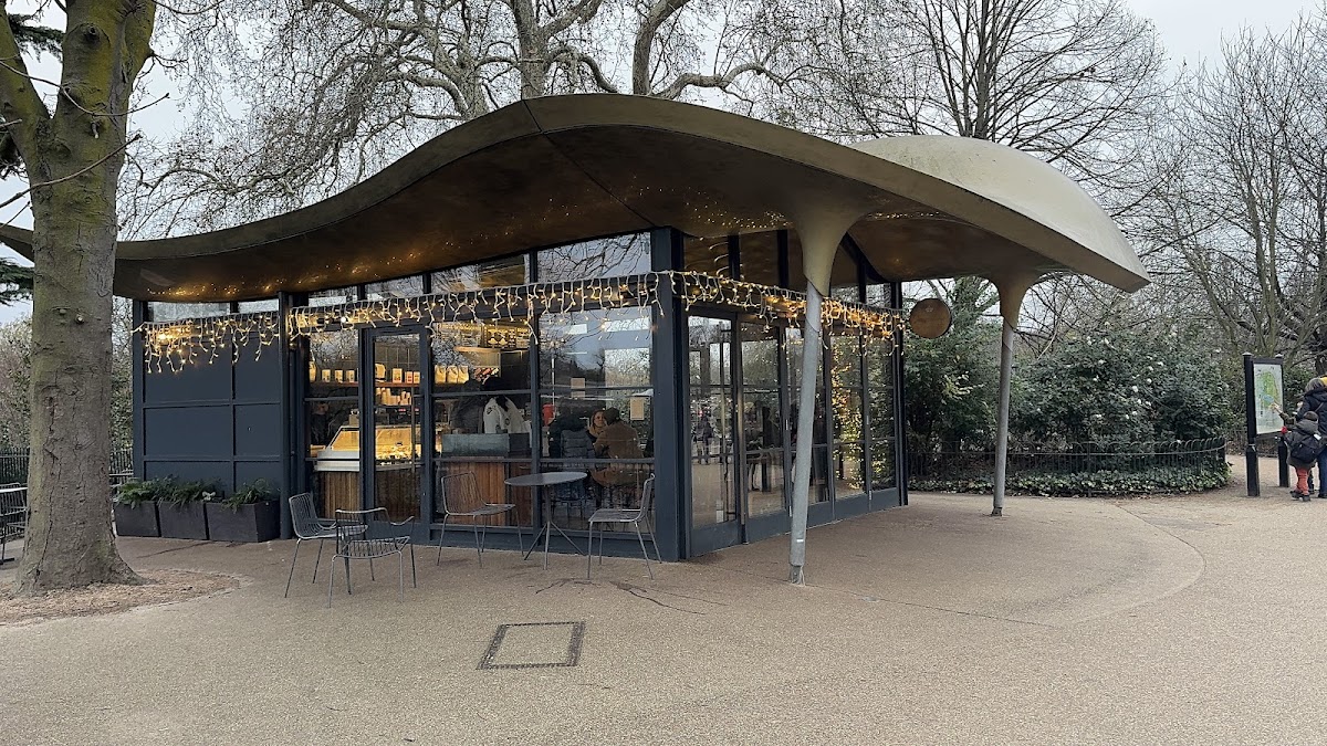 Colicci Serpentine Coffee House interior