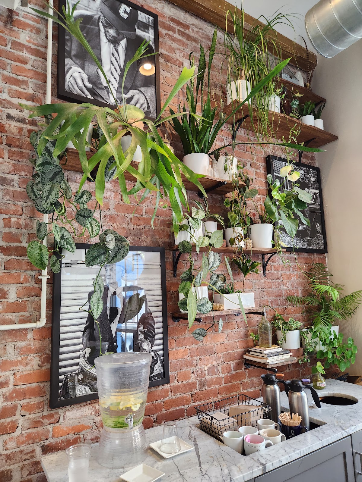Photo of The Rise Coffee Bar