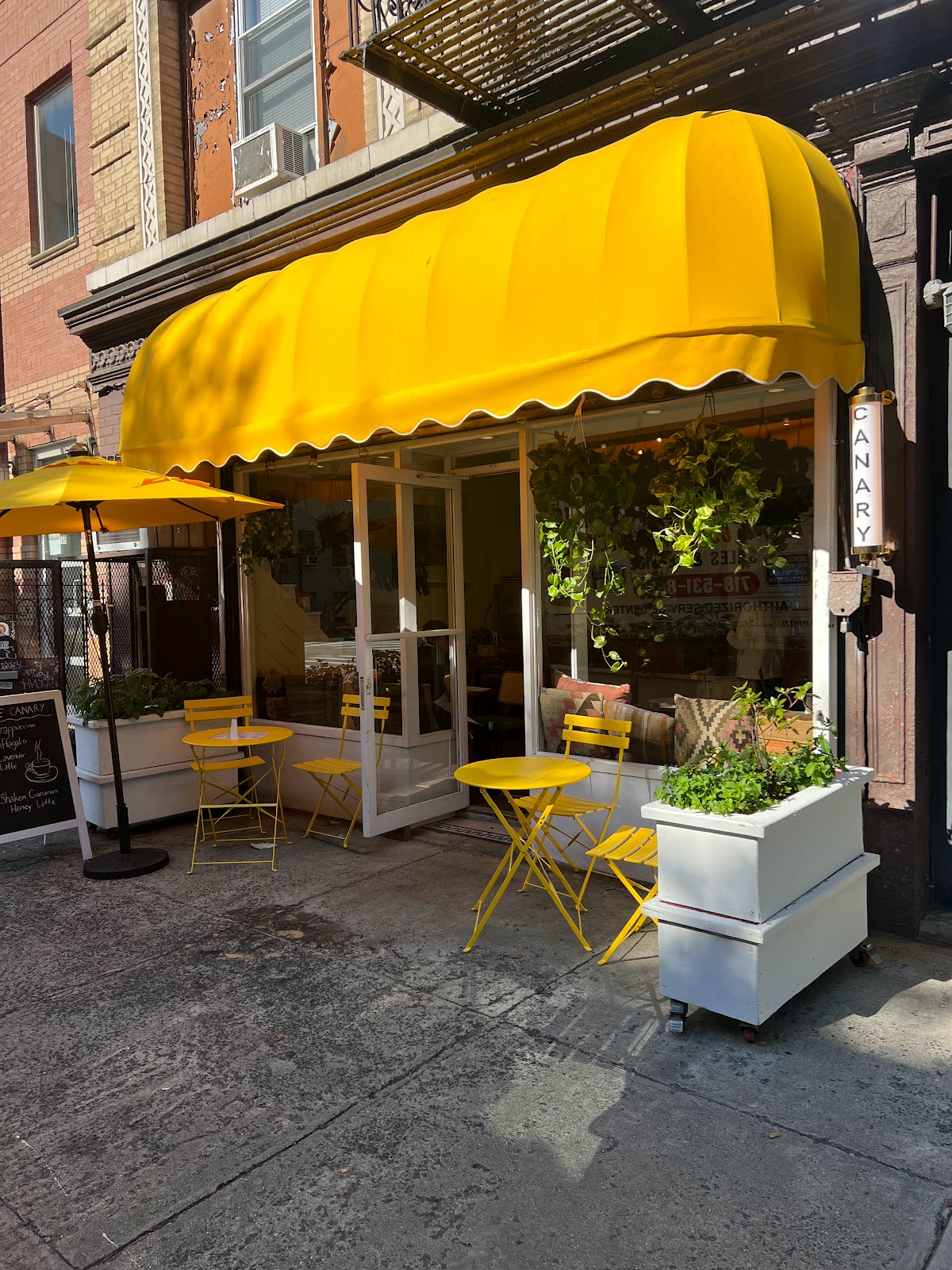 Canary Cafe interior