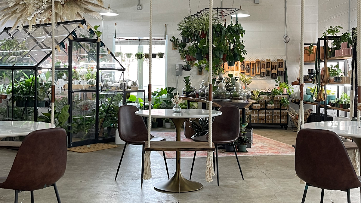 Dandy Lion Coffee Co. interior