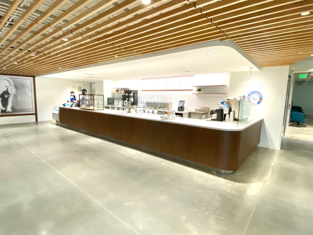Photo of Blue Donkey Coffee Co.