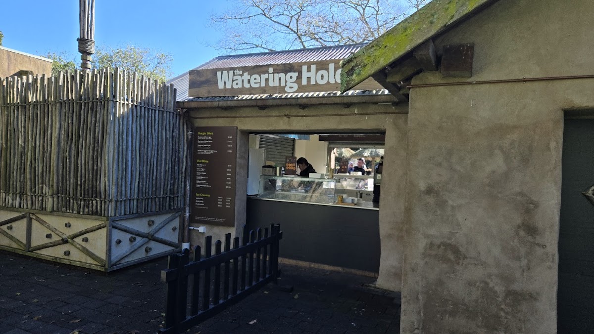 Watering Hole Cafe interior