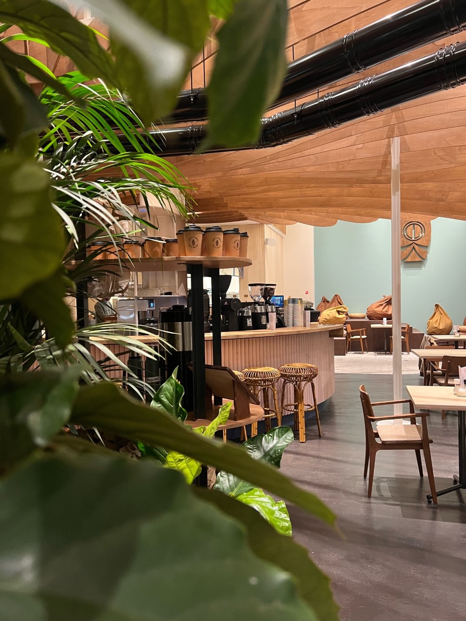 Coffee & Coconuts interior