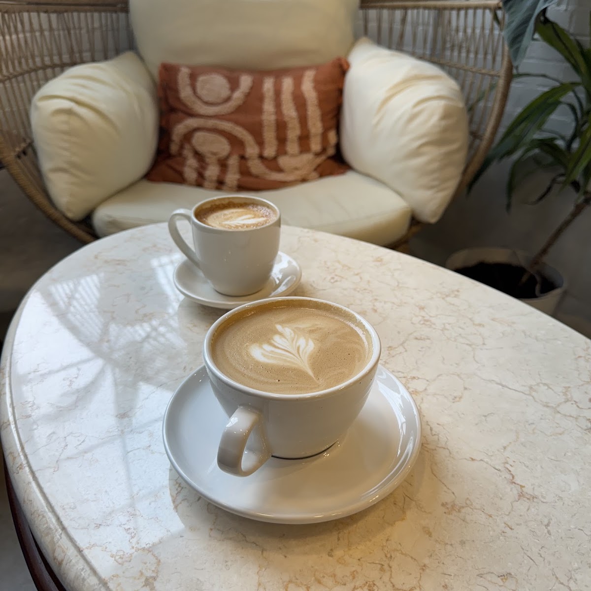Photo of Gold Lion Coffee House