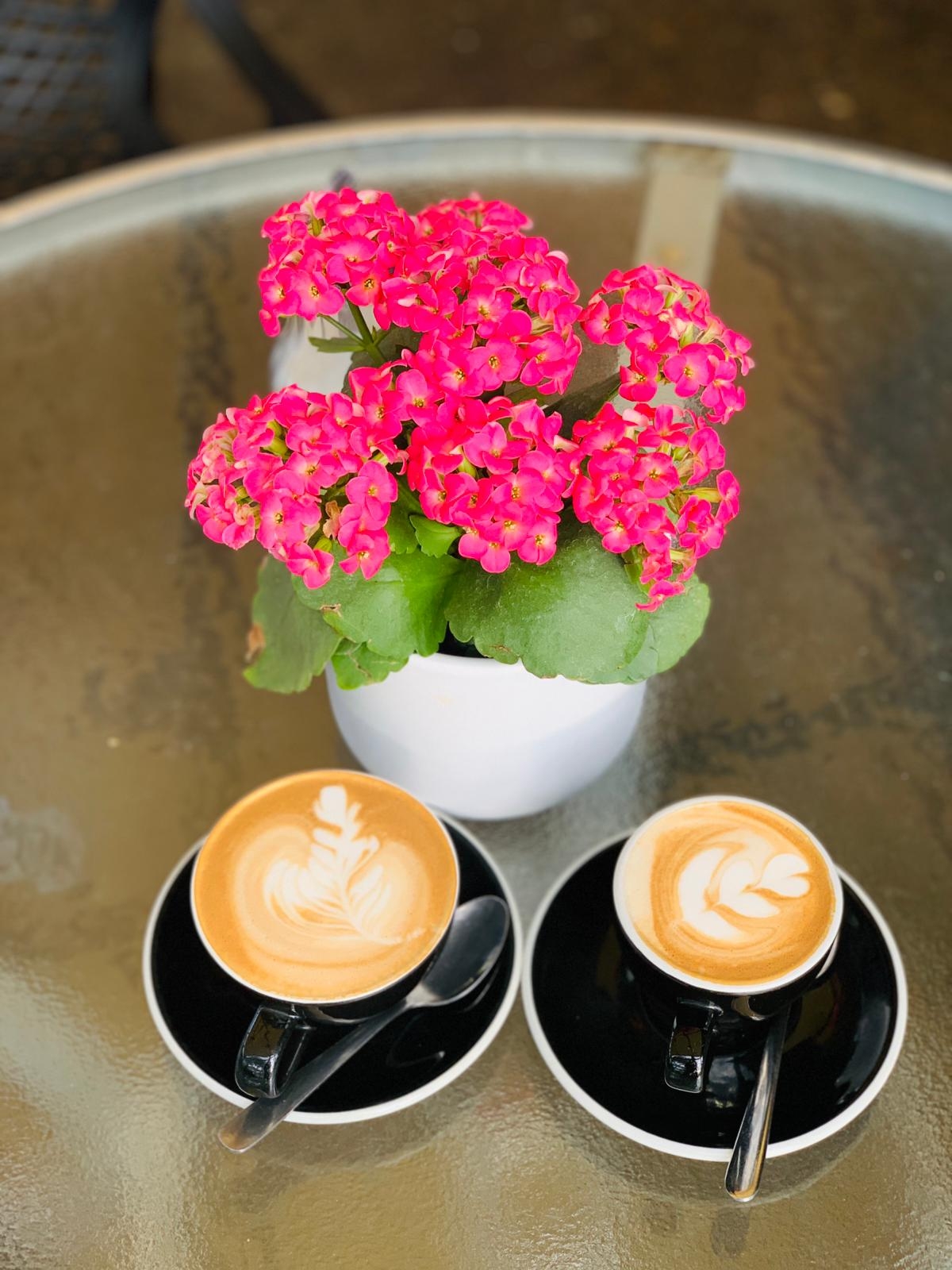 Photo of Cafe Greenfingers