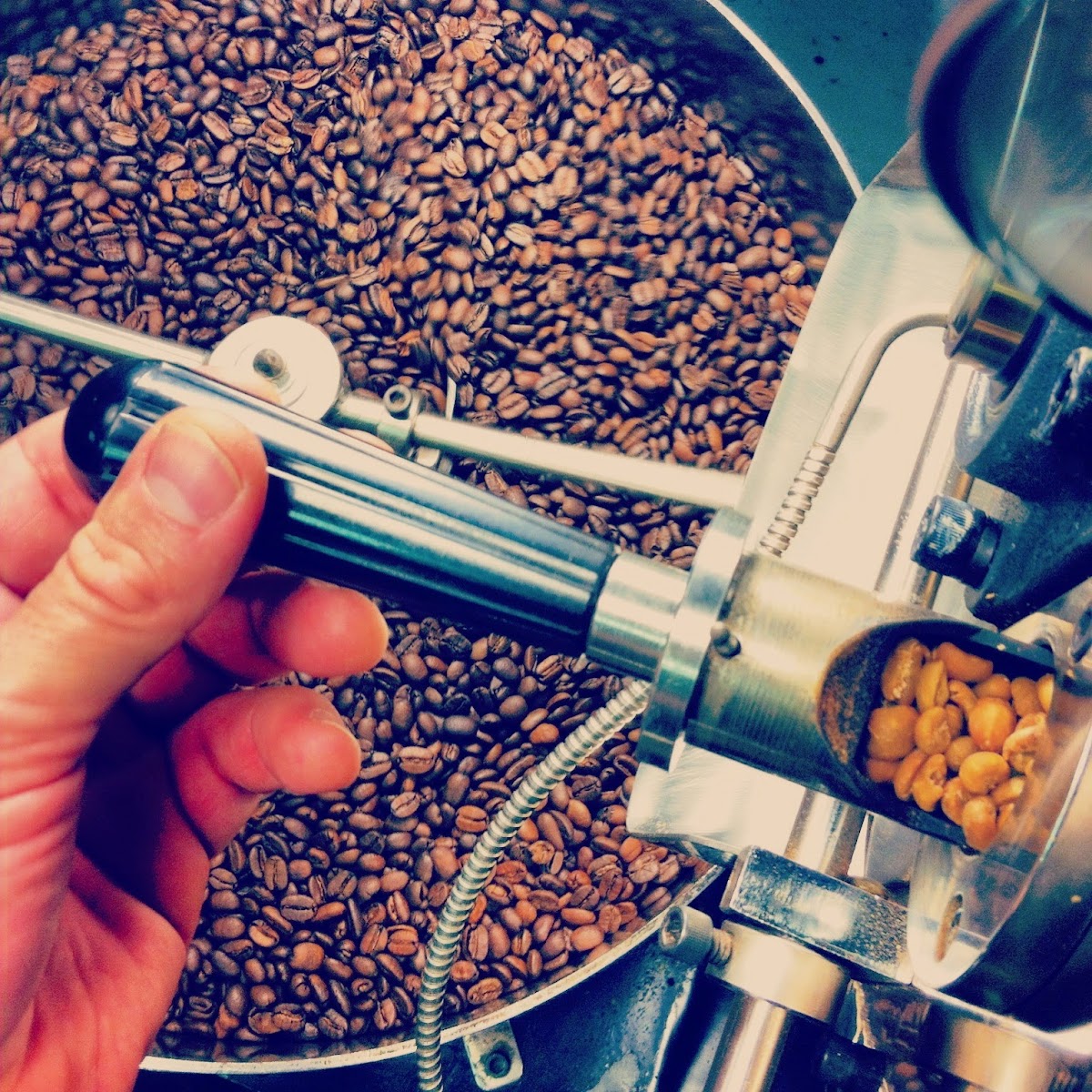 Noble Coyote Coffee Roasters interior
