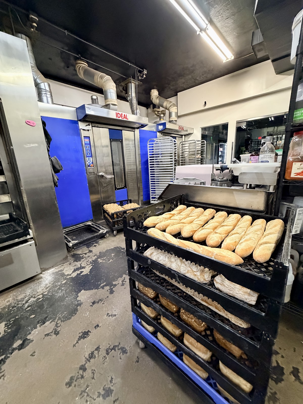 Bread & Water Company interior