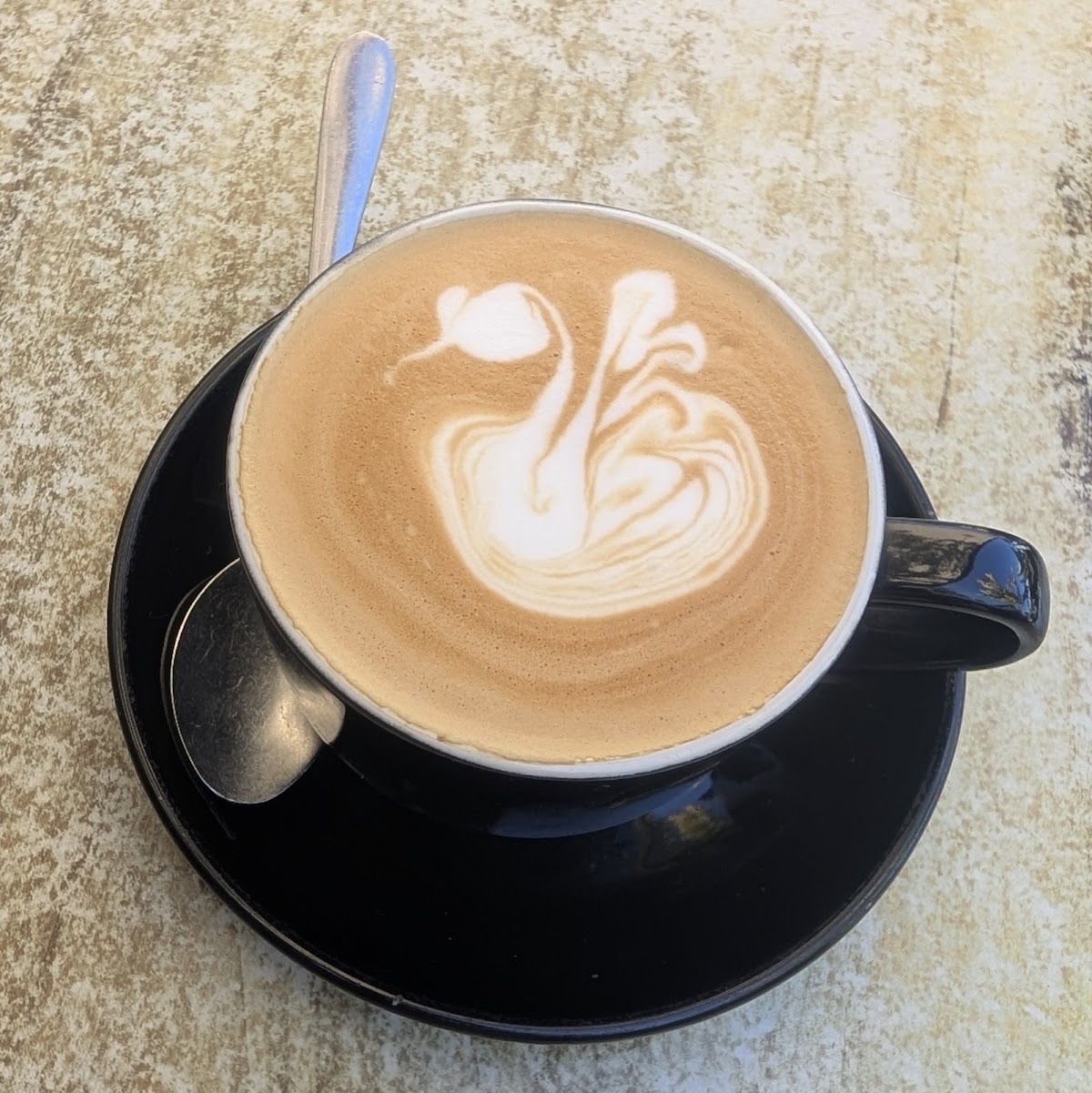 Photo of Cafe Mosman