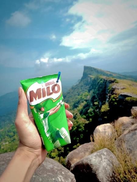 Milo and Drink by Khun Cheng interior