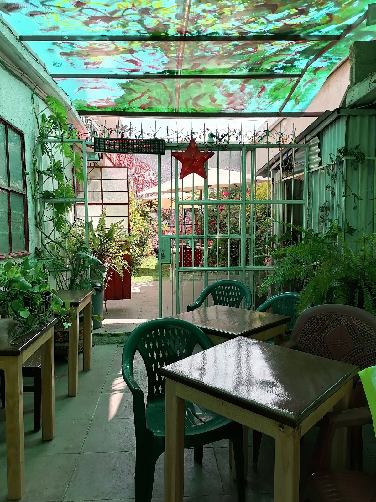 Red Coffee MX interior