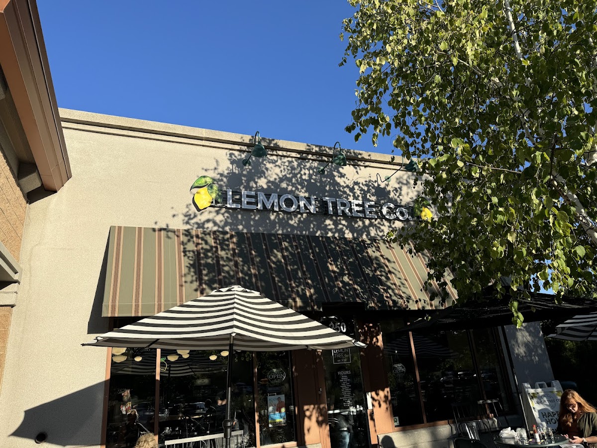 The Grove by Lemon Tree Co. interior