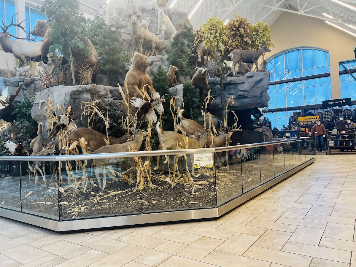 Photo of Ginna's Café @ SCHEELS