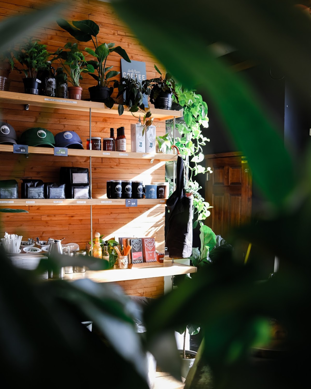 Corner Coffee Uptown interior