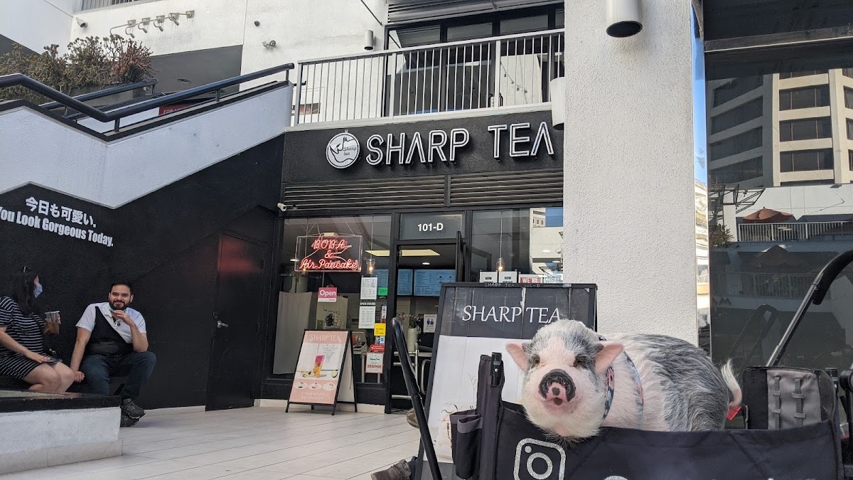 Sharp Tea interior