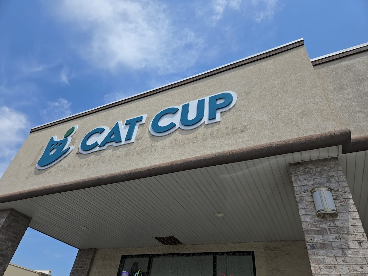 Cat Cup interior
