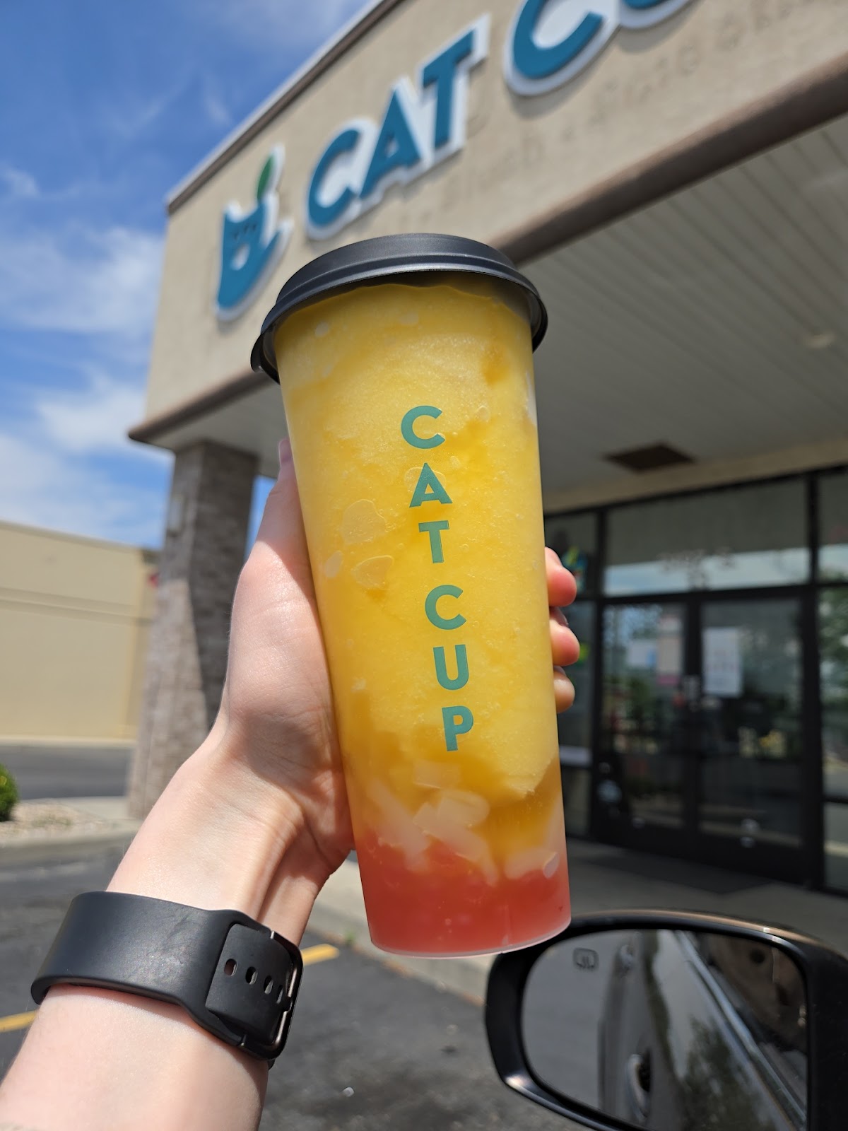 Photo of Cat Cup