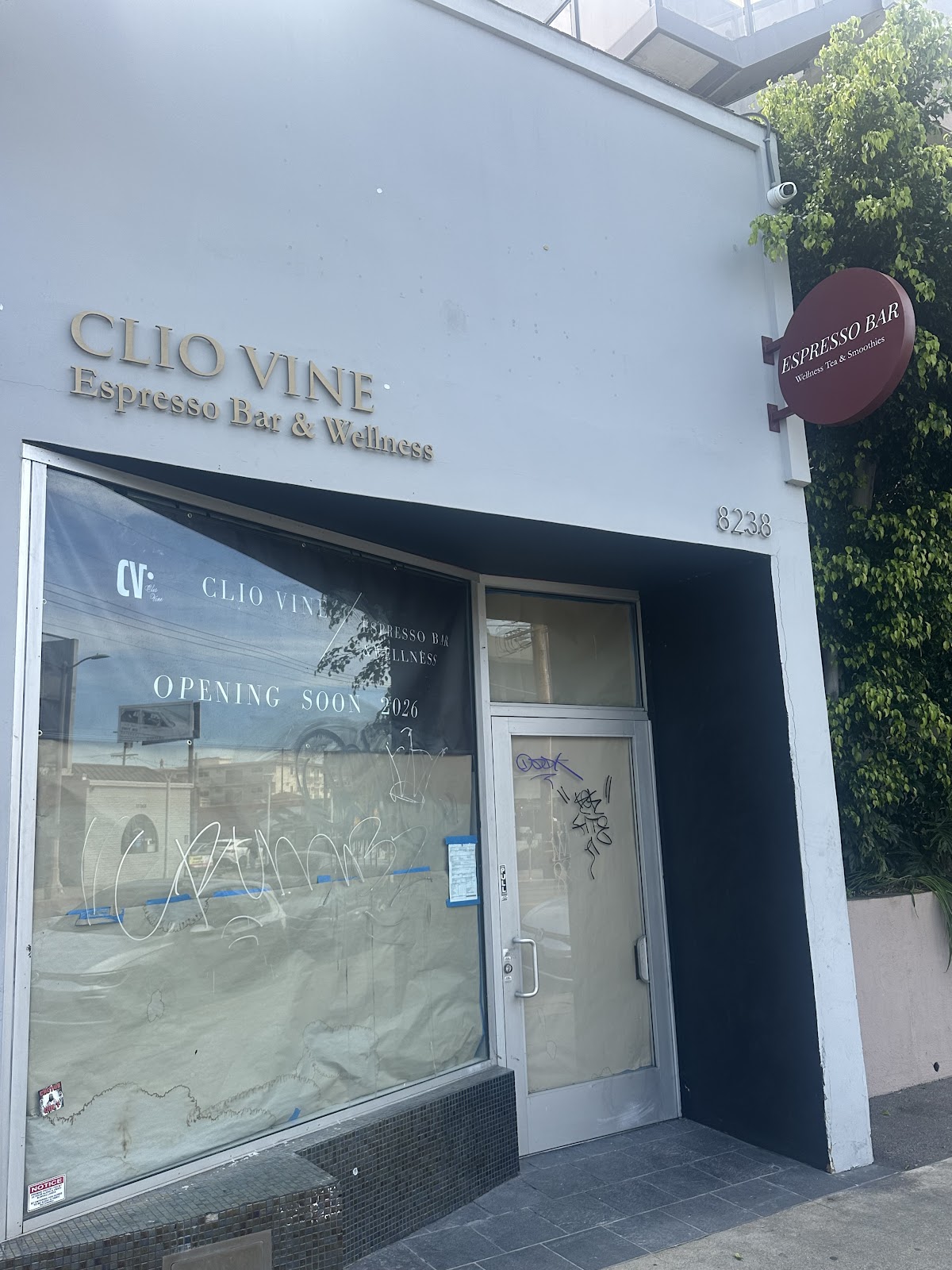 CLIO VINE Espresso Bar &Wellness interior