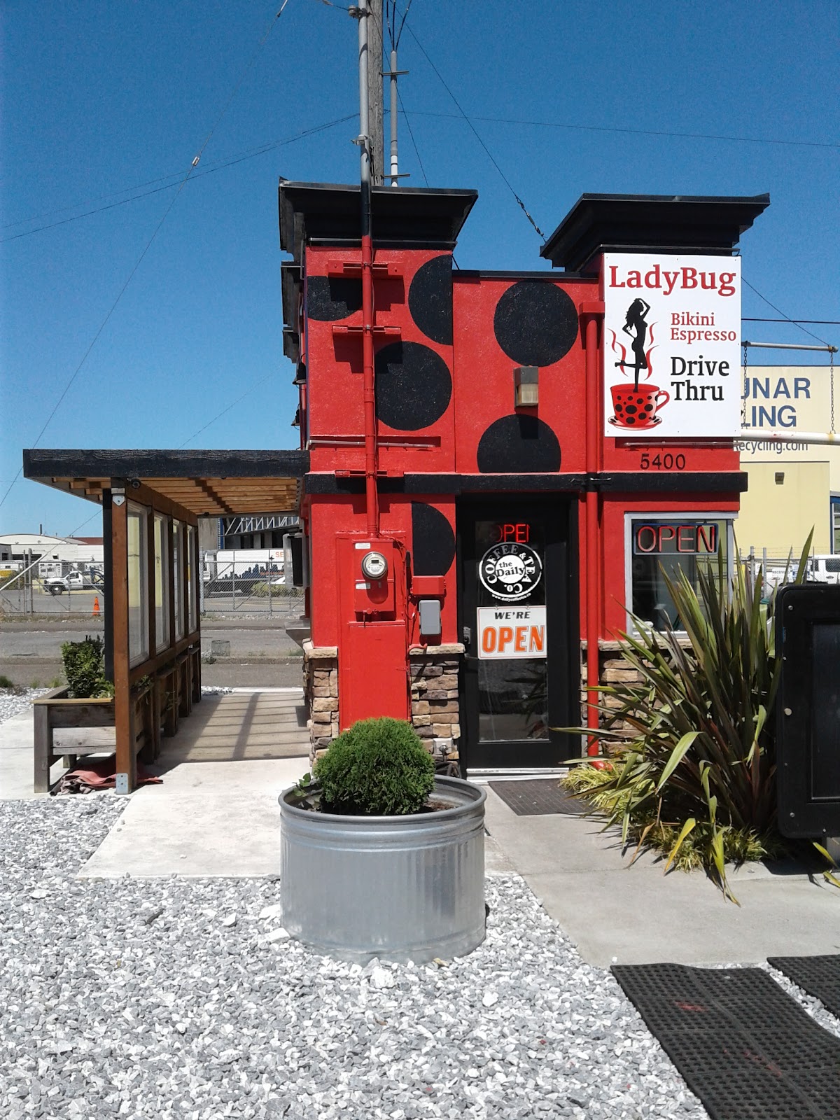 Lady Bug Espresso interior