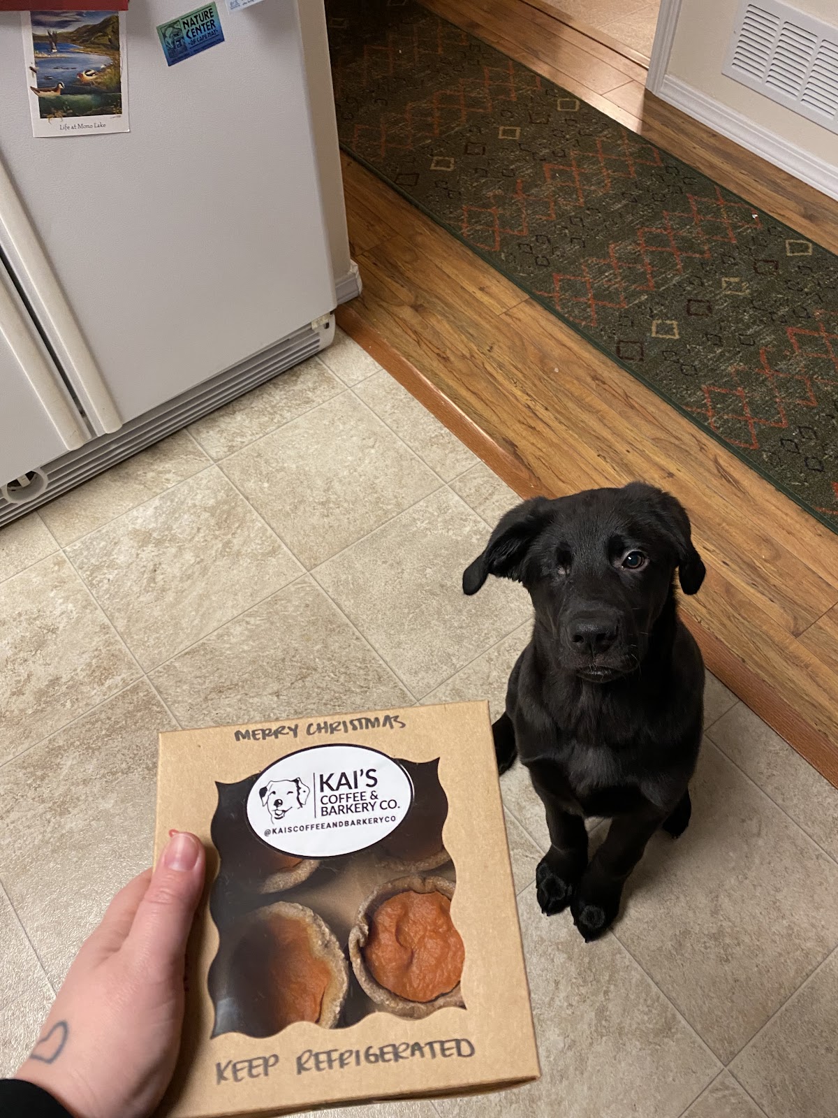 Photo of Kai's Coffee and Barkery