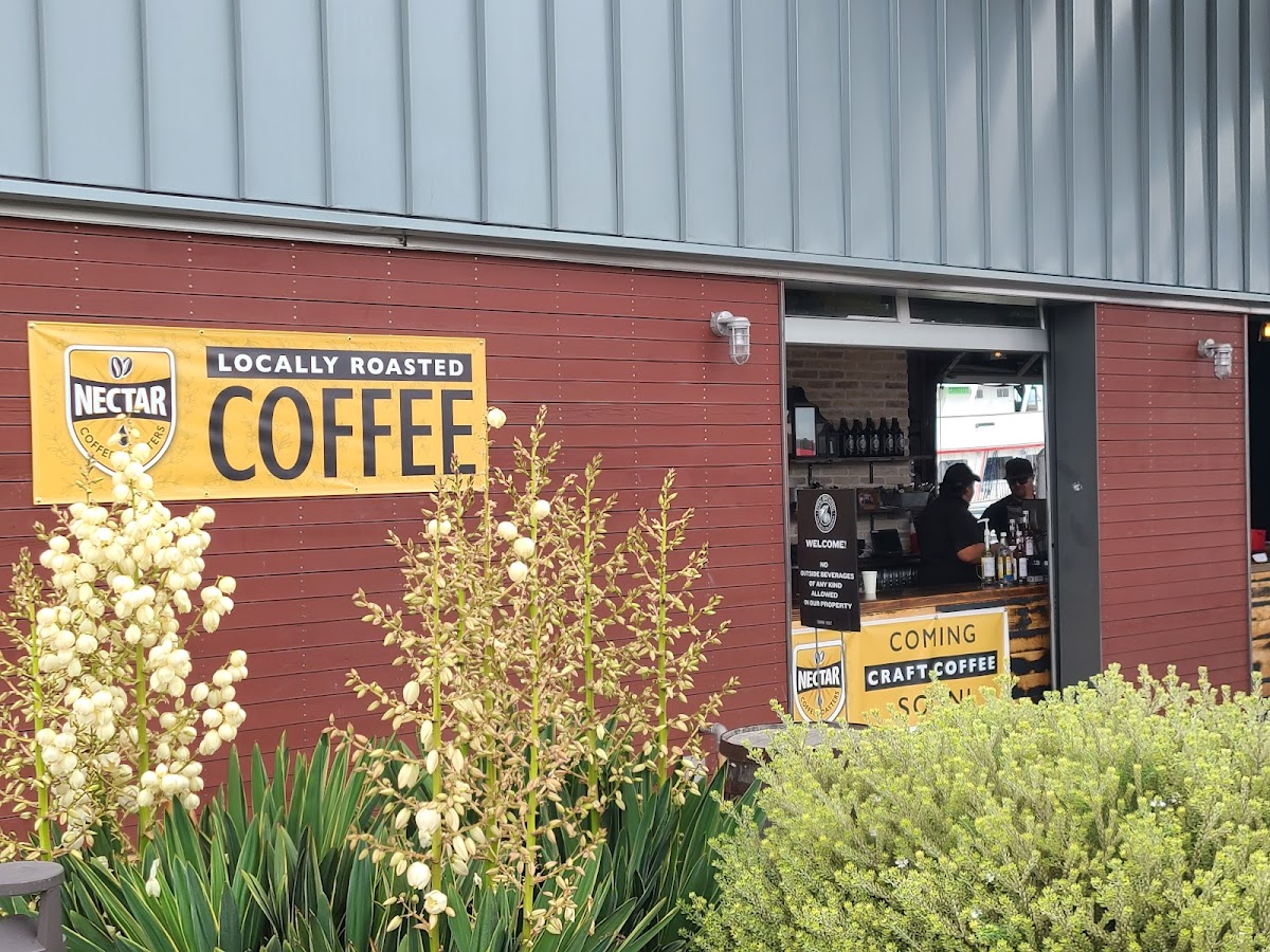 Nectar Coffee interior