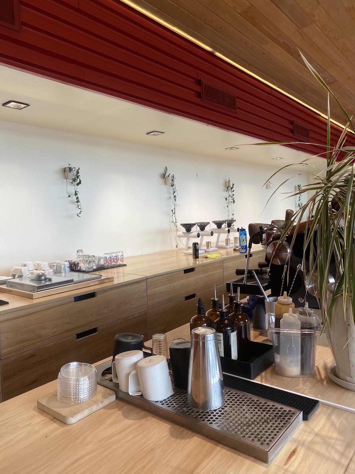 Photo of Barista Parlor Sylvan Supply