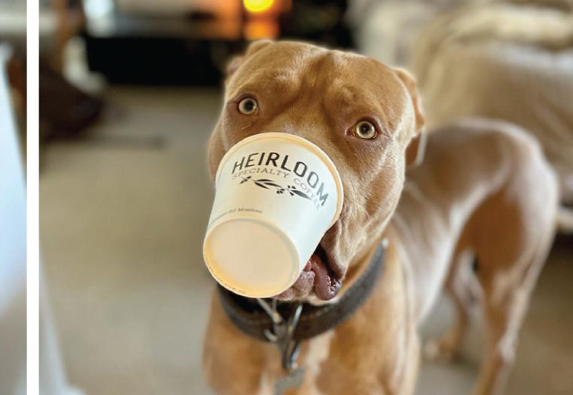 Photo of Heirloom Specialty Coffee