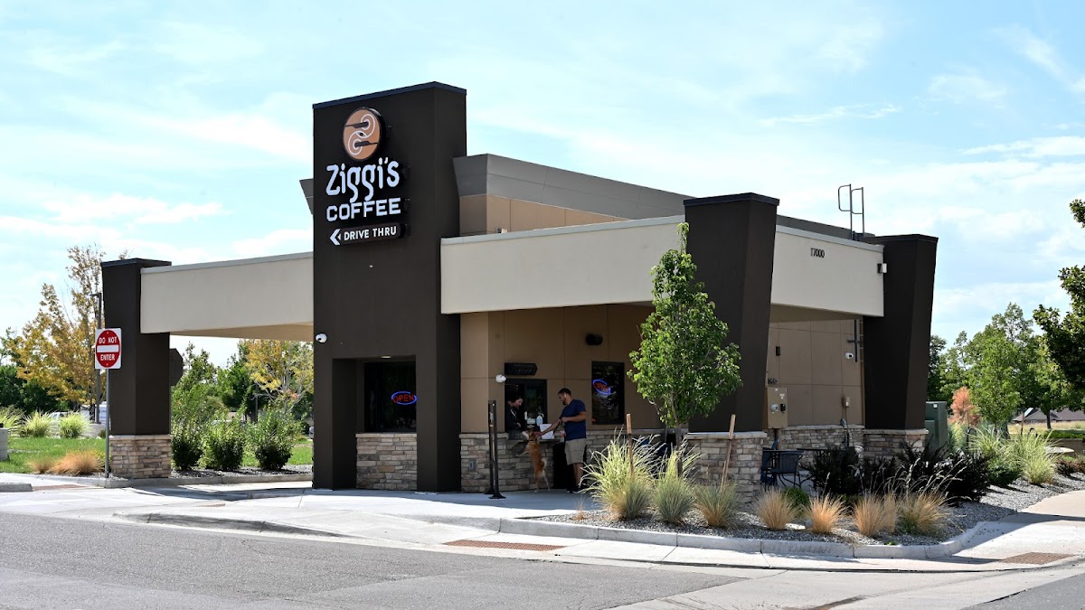 Ziggi's Coffee interior
