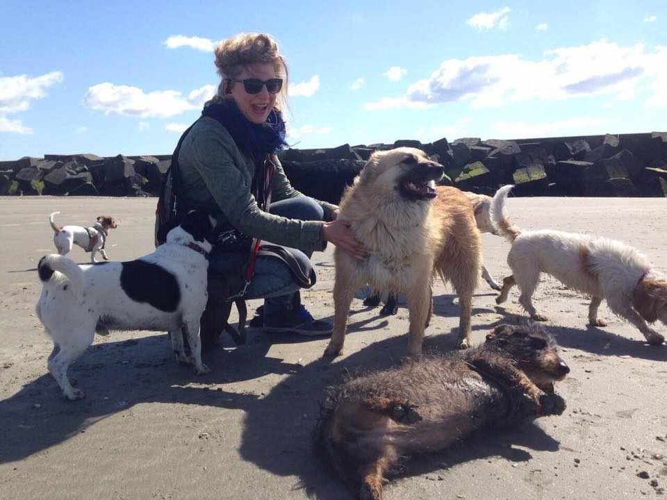 Photo of Happy Dog Walks