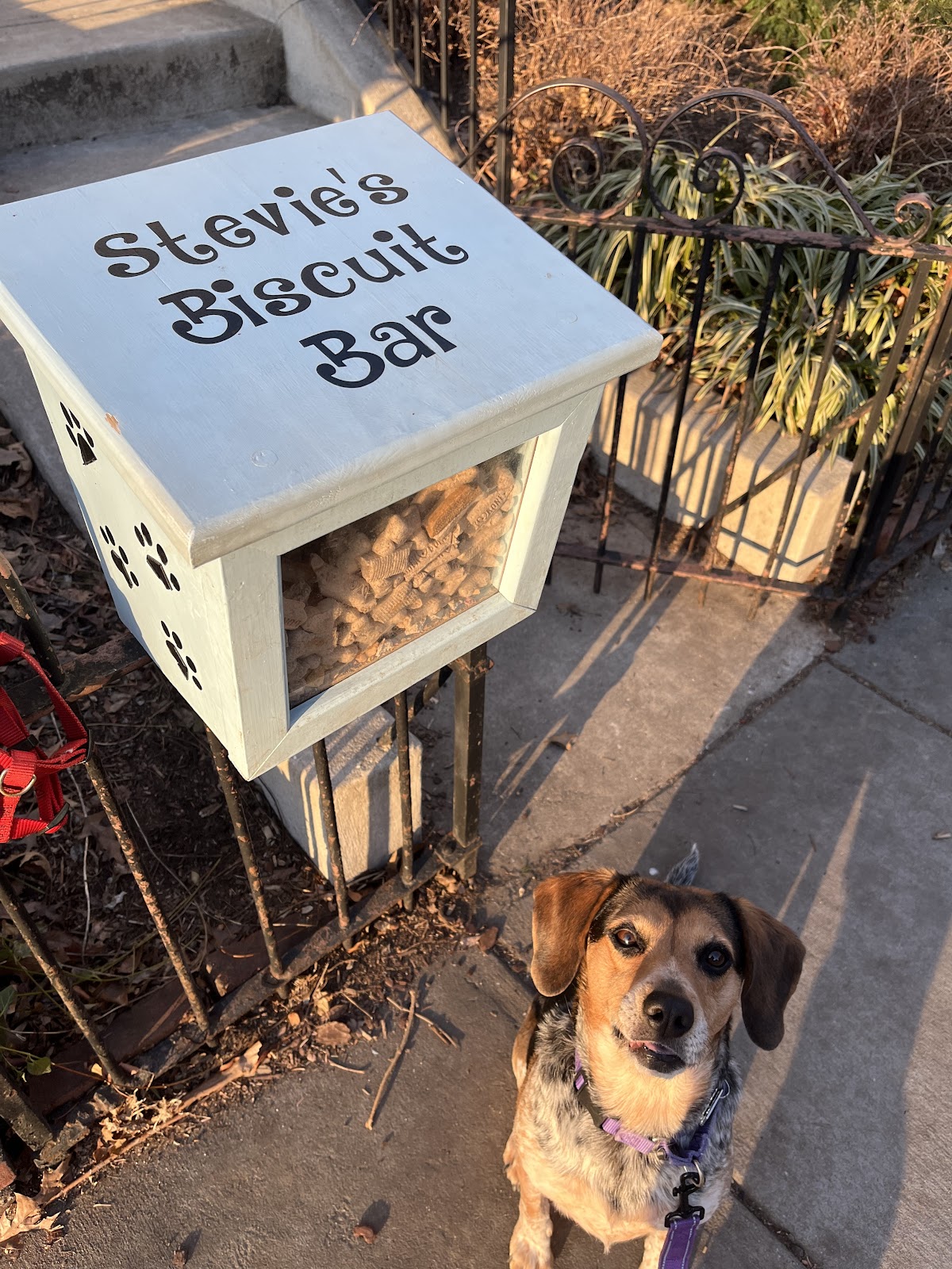 Photo of Stevie’s Biscuit Bar
