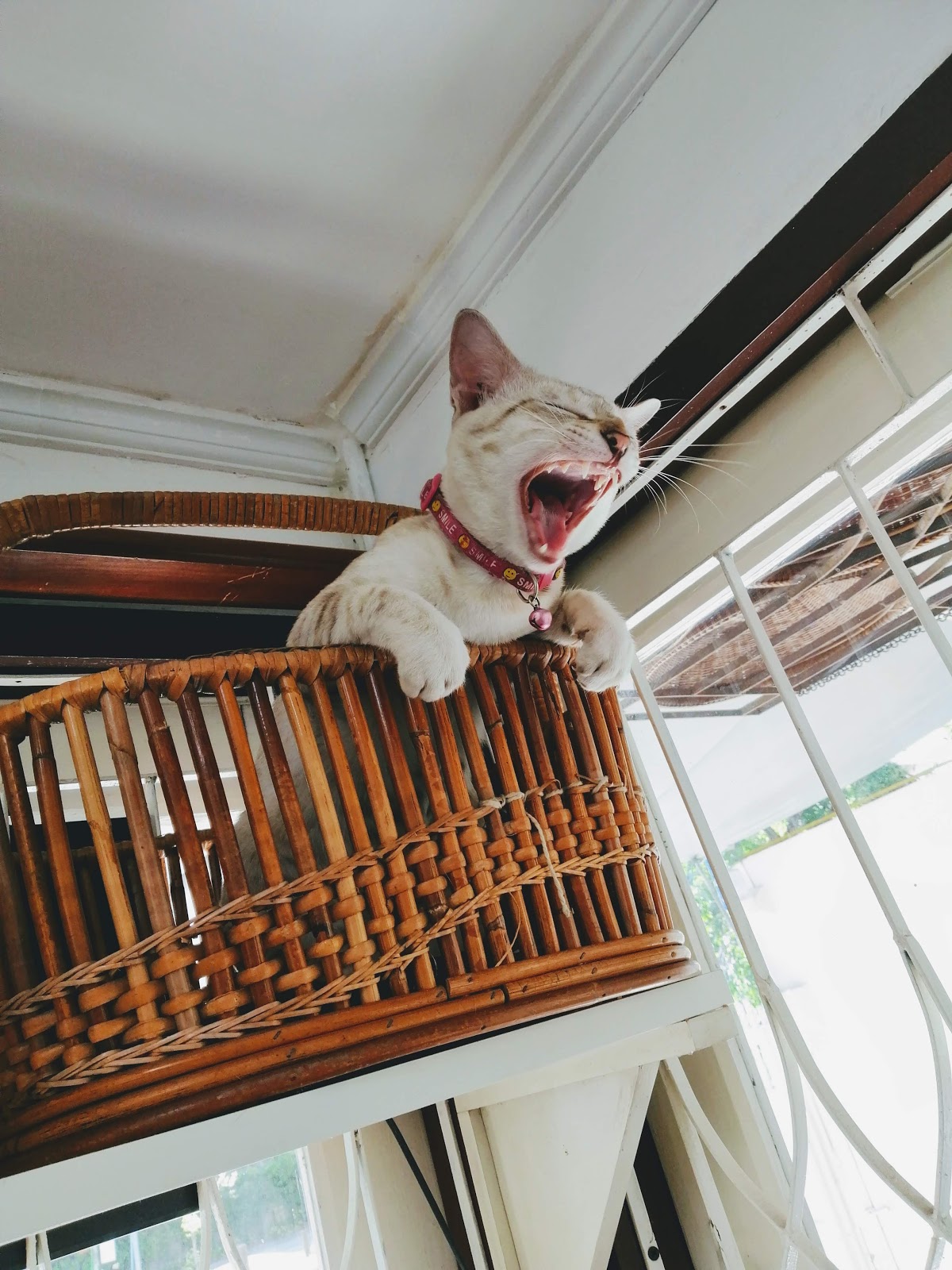 Photo of ลุงป้ากาแฟสด