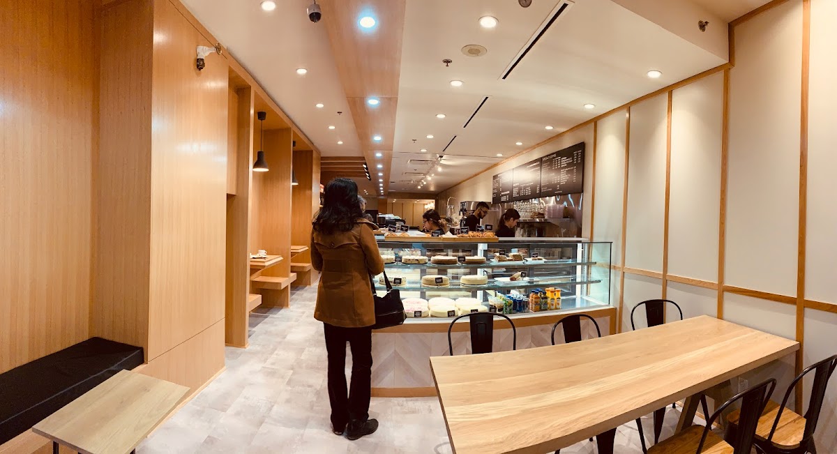 Trees Organic Coffee interior