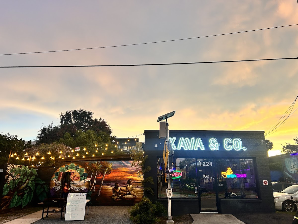 Kava and Company interior