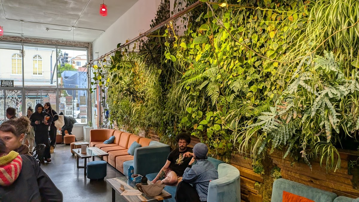 Photo of MeloMelo Kava Bar