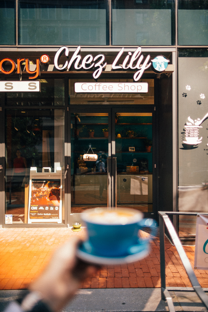 Chez Lily interior