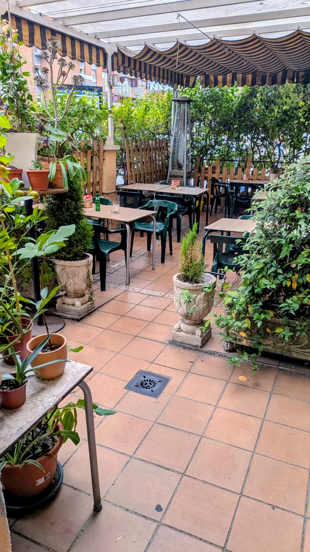 Bar Avenida interior