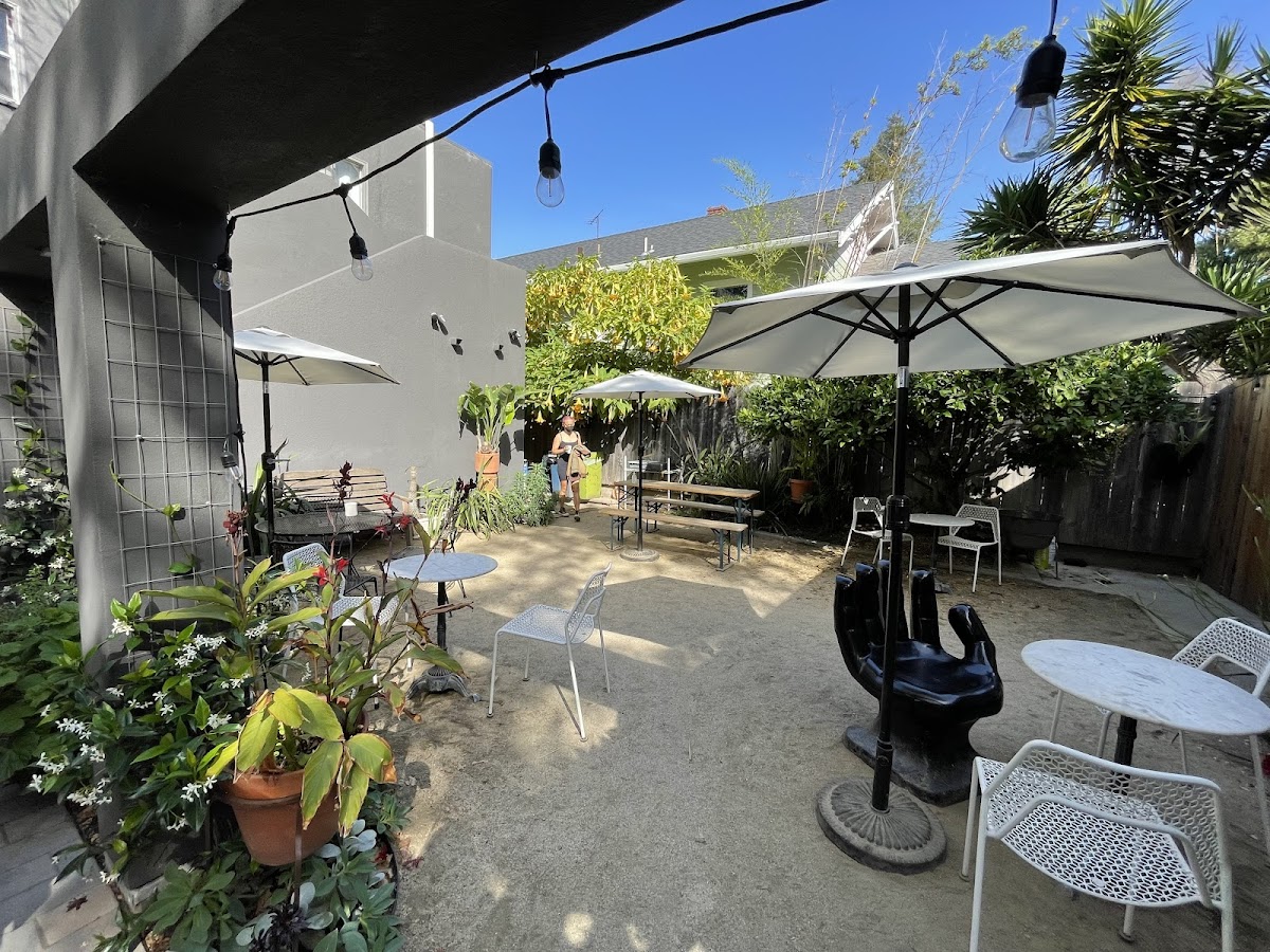 Xochi the Dog Cafe interior