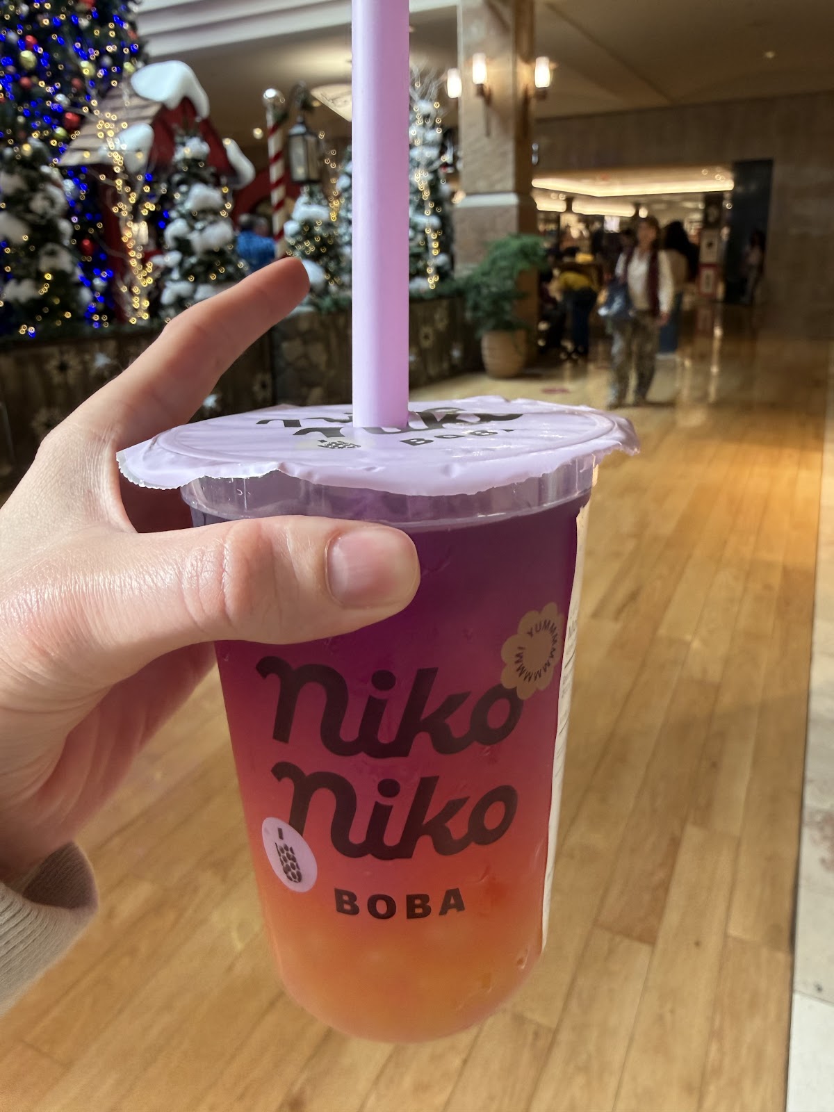 Photo of Niko Niko Boba