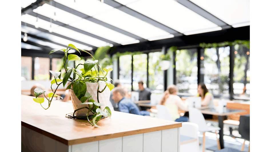 Parkside interior