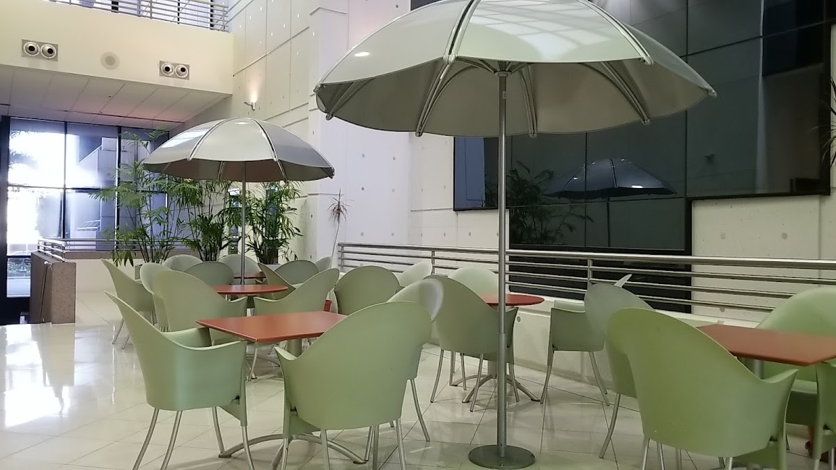 Vermonic's Café interior