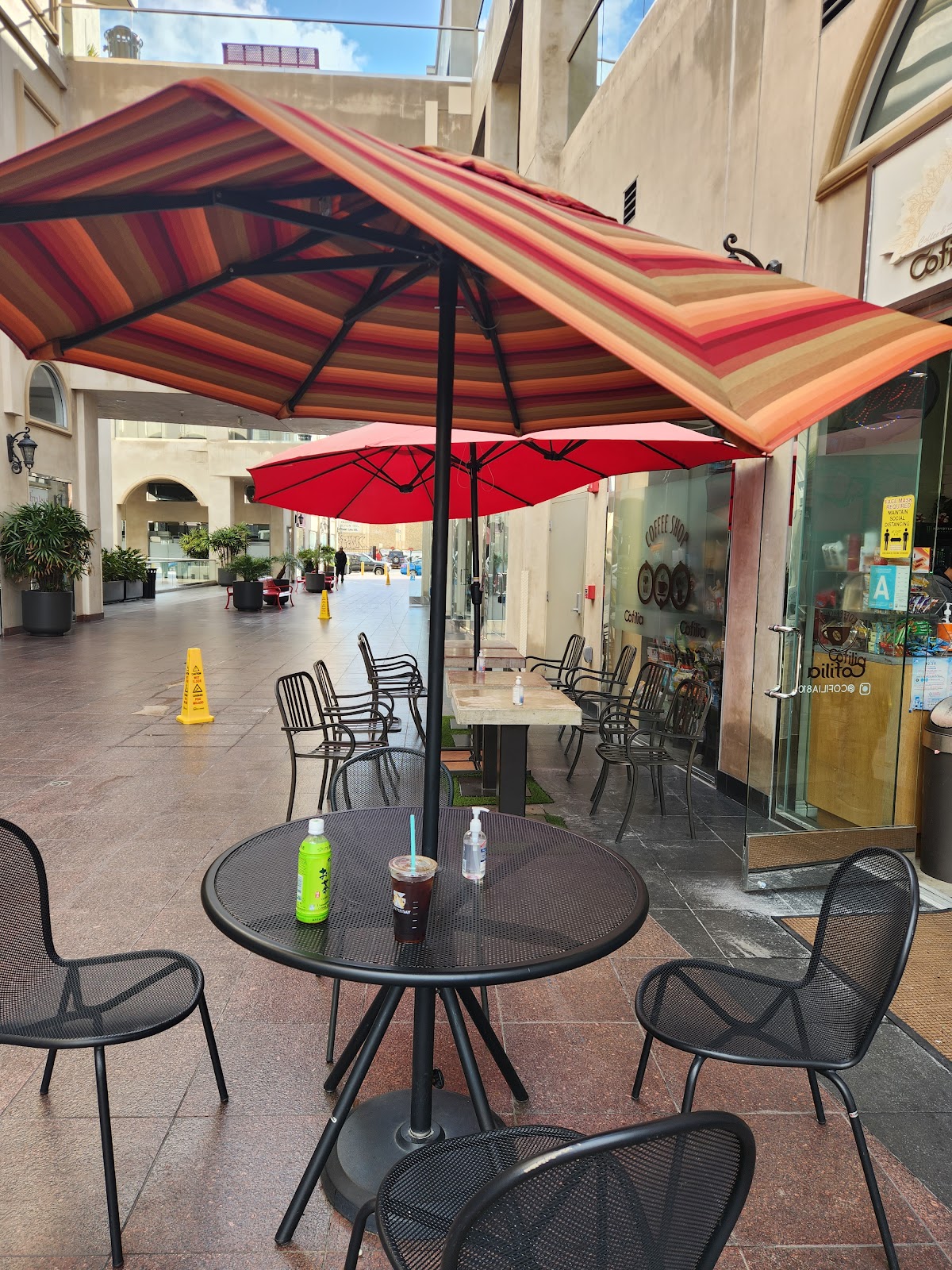 Cofilia interior
