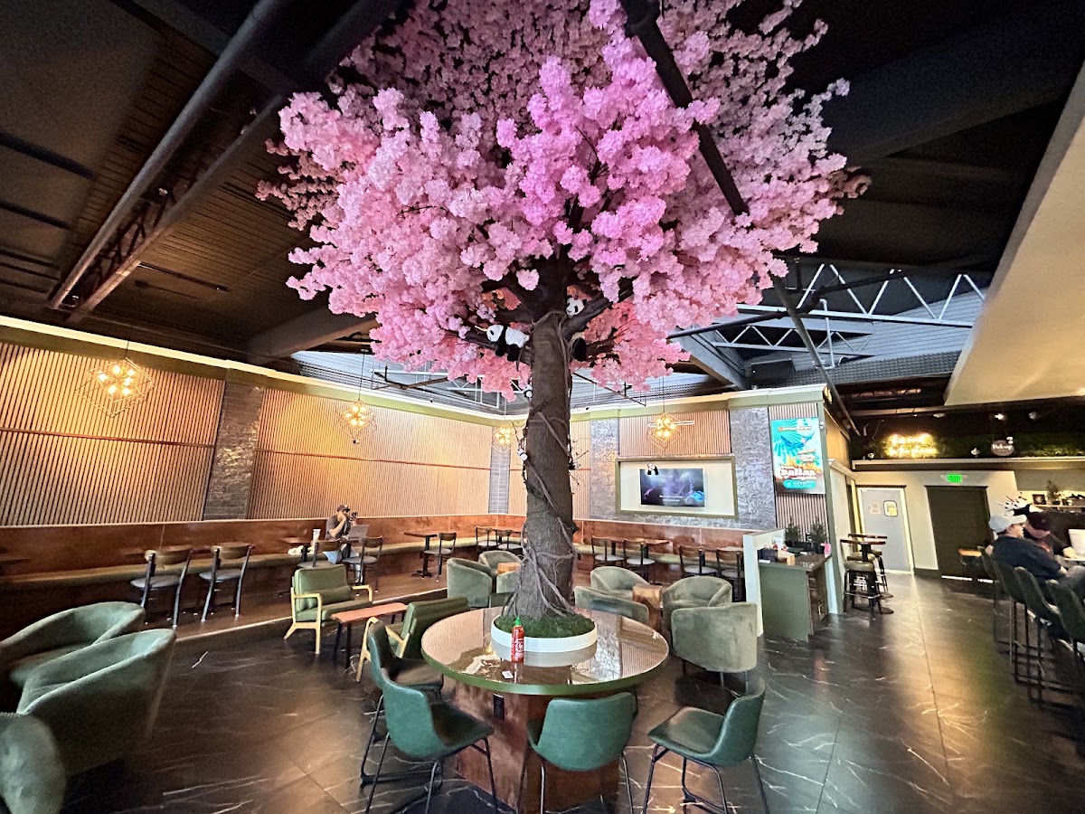 Pandacorn Cafe interior