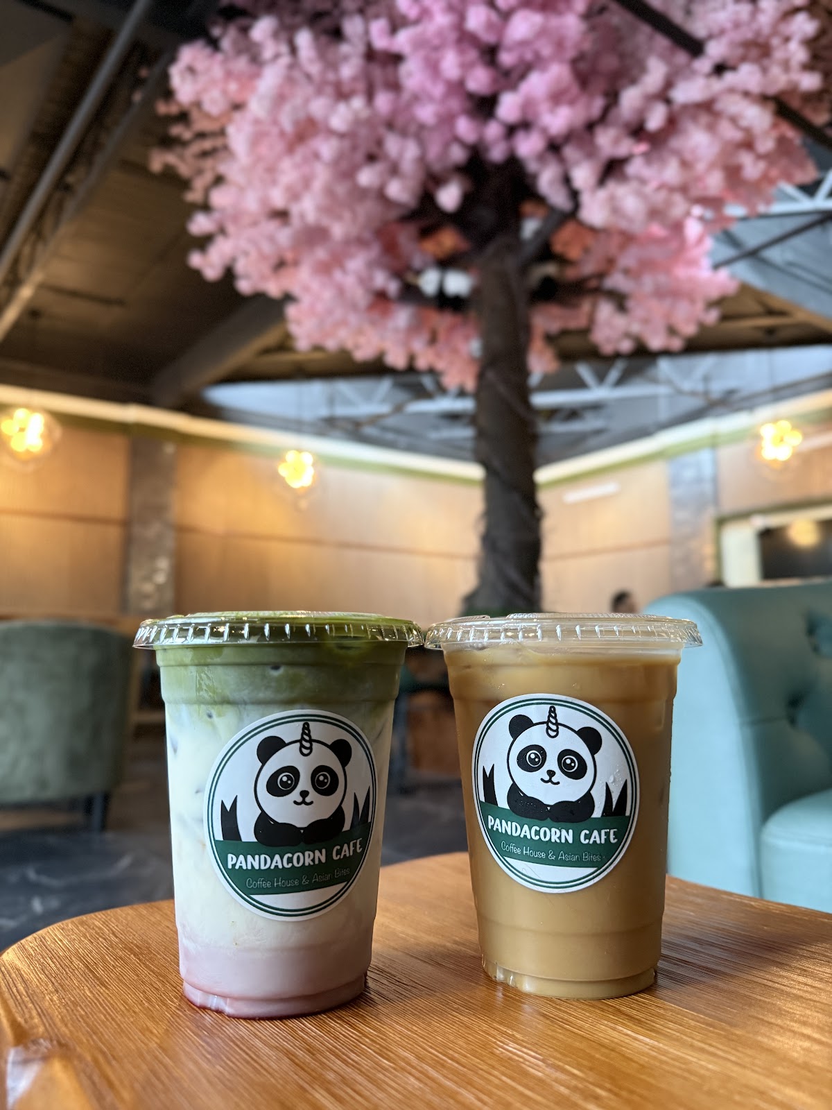Photo of Pandacorn Cafe