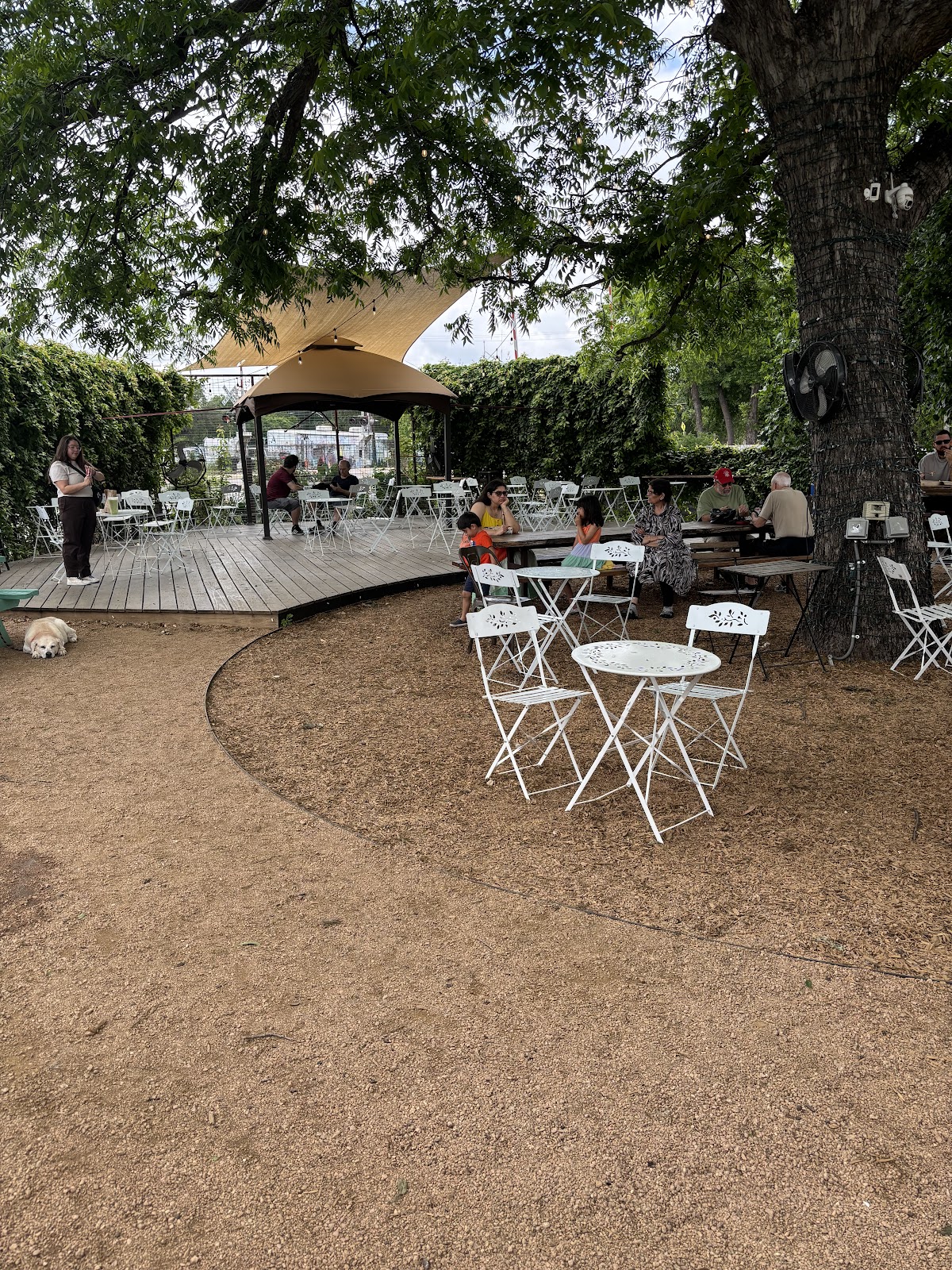 Desnudo Coffee: East Austin interior
