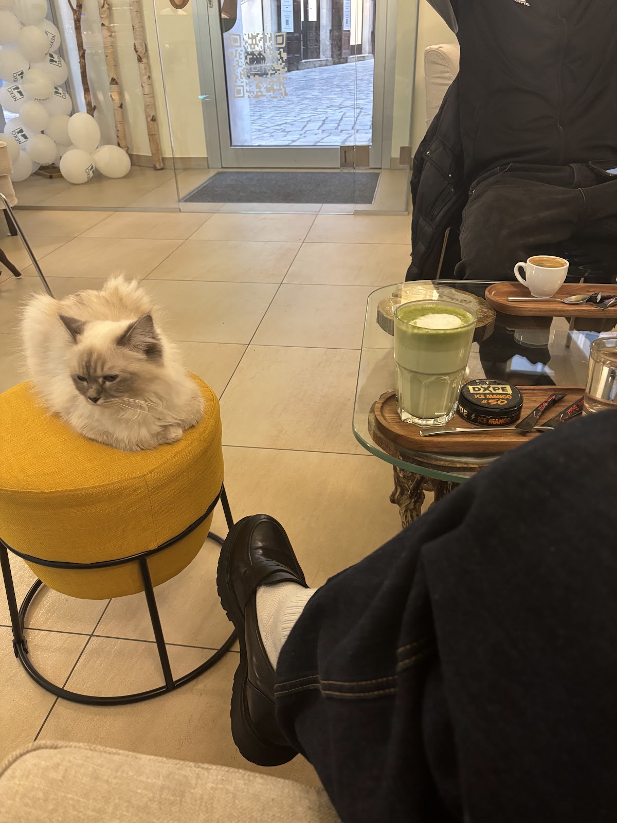 Photo of Katzencafe